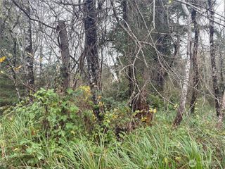 294 XX S Lane, Ocean Park, WA 98640