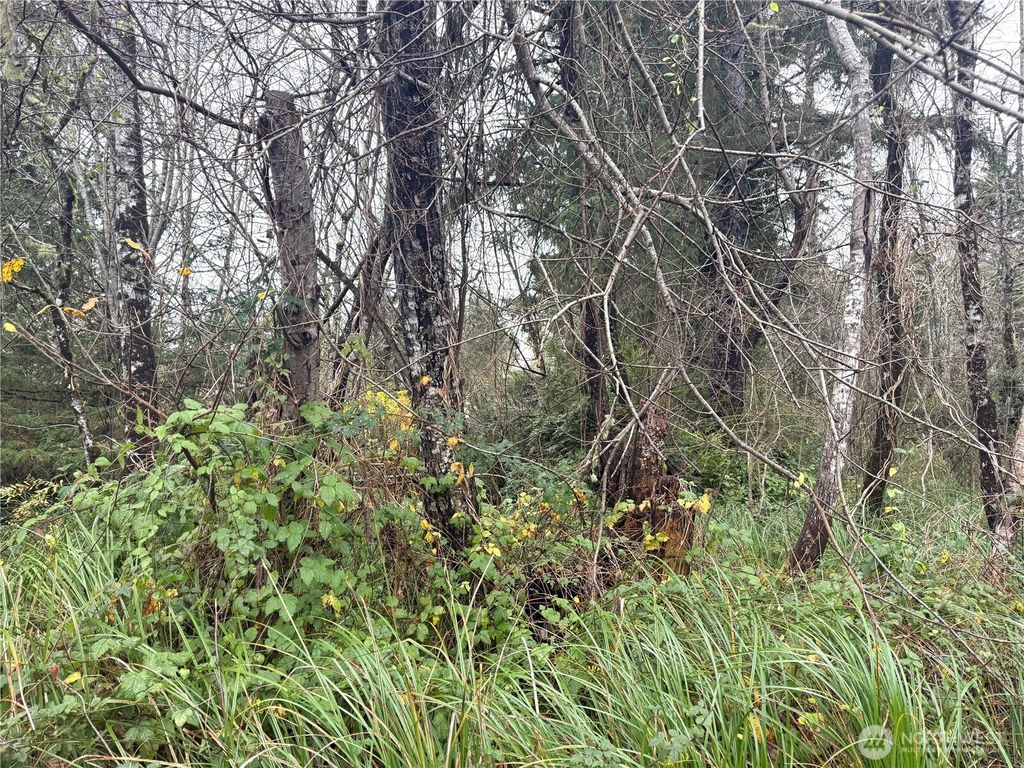 294 XX S Lane, Ocean Park, WA 98640