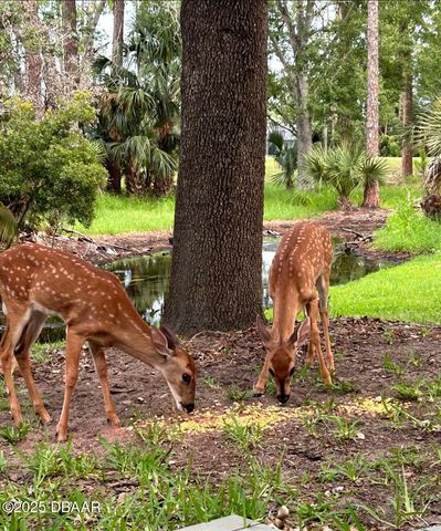 1461 Carlow Circle, Ormond Beach, FL 32174