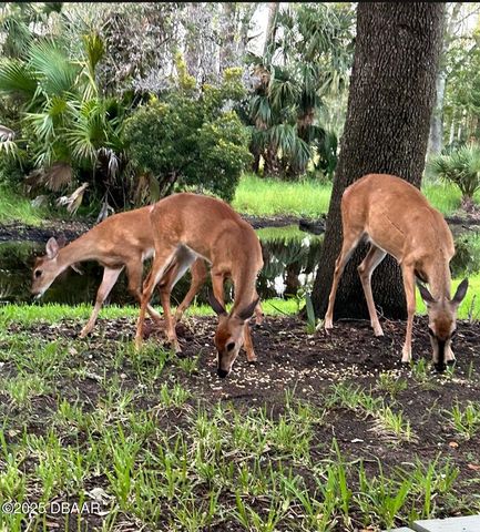 1461 Carlow Circle, Ormond Beach, FL 32174