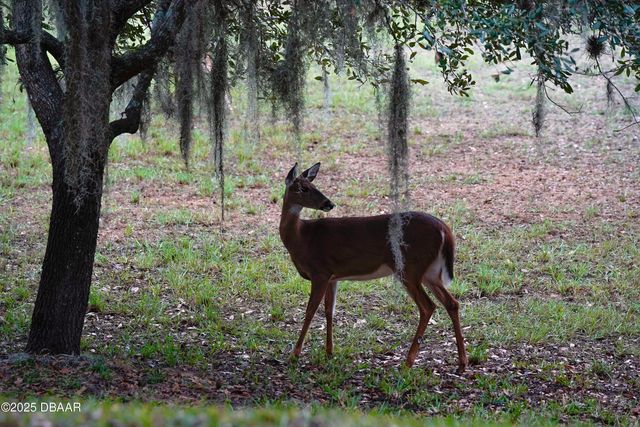 1461 Carlow Circle, Ormond Beach, FL 32174