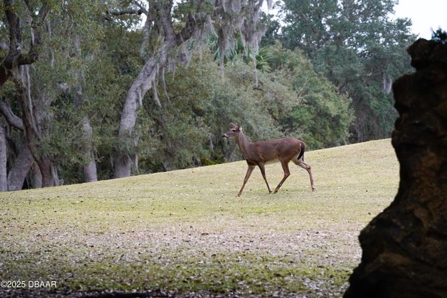 1461 Carlow Circle, Ormond Beach, FL 32174