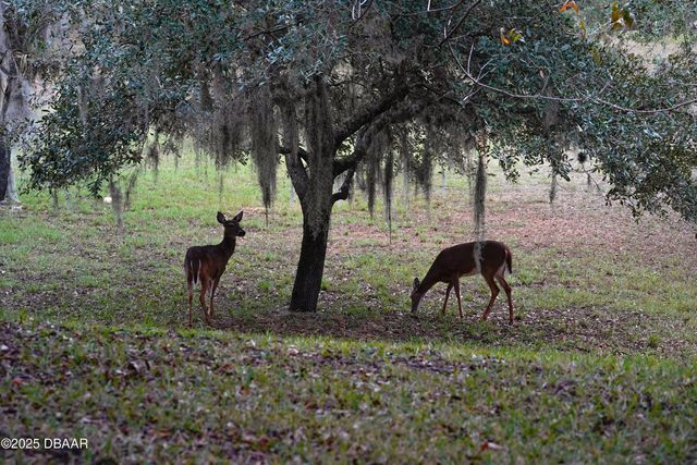 1461 Carlow Circle, Ormond Beach, FL 32174