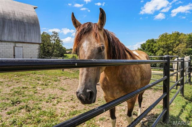 4444 Horstman Road, New Haven, MO 63068