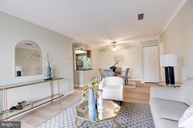 14807 RYDELL RD #303, Centreville, VA 20121