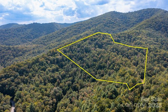 999 NC 209 Highway 9, Hot Springs, NC 28743