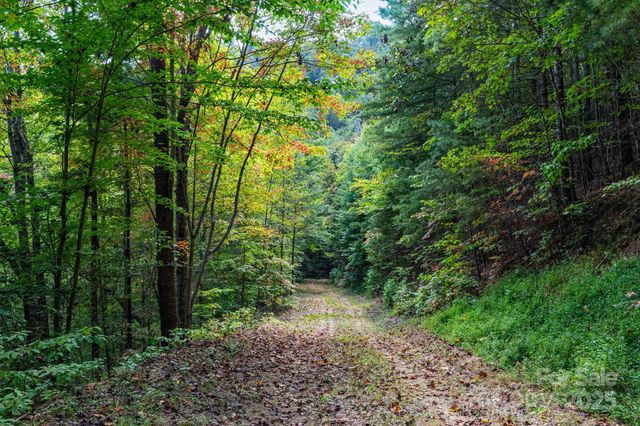 999 NC 209 Highway 9, Hot Springs, NC 28743