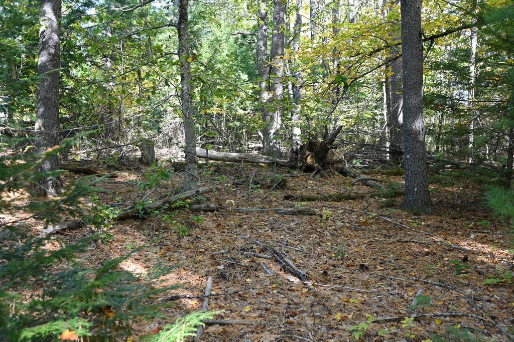411 Middle Road, Standish, ME 04084 — photo 3