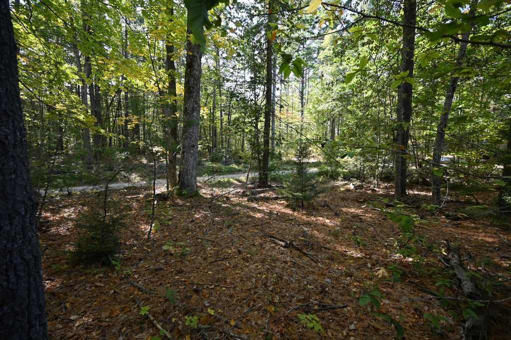 411 Middle Road, Standish, ME 04084 — photo 4