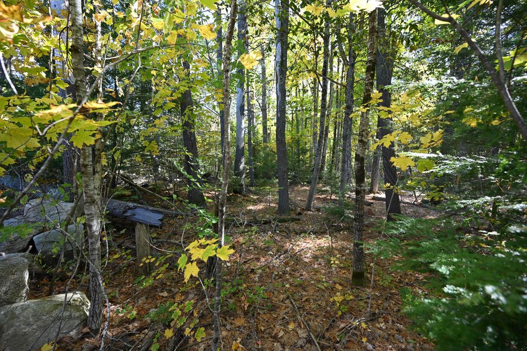 411 Middle Road, Standish, ME 04084 — photo 5