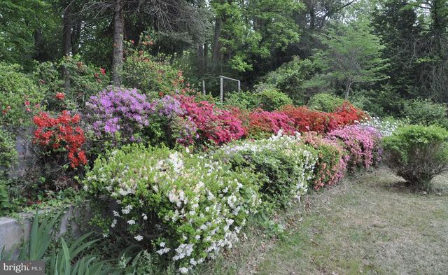 3637 38TH ST N, Arlington, VA 22207