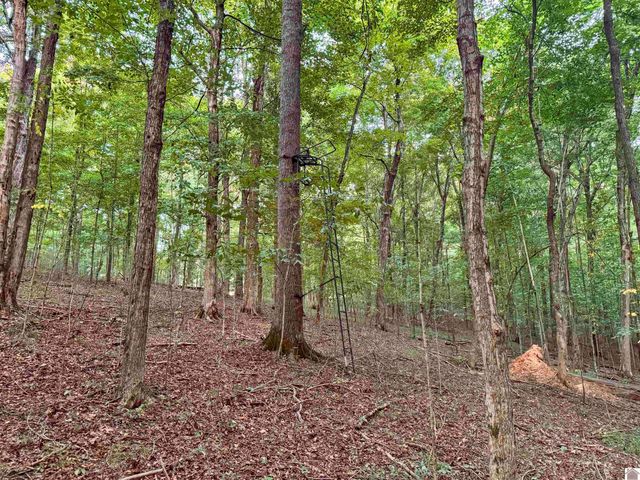 4056 State Route 730 E, Eddyville, KY 42038