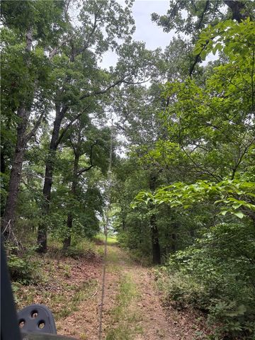 200 Blue Moon Road, Eureka Springs, AR 72632