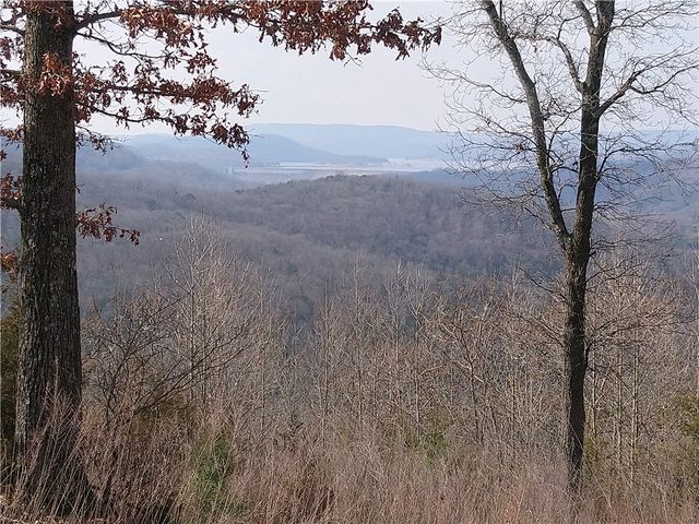 200 Blue Moon Road, Eureka Springs, AR 72632