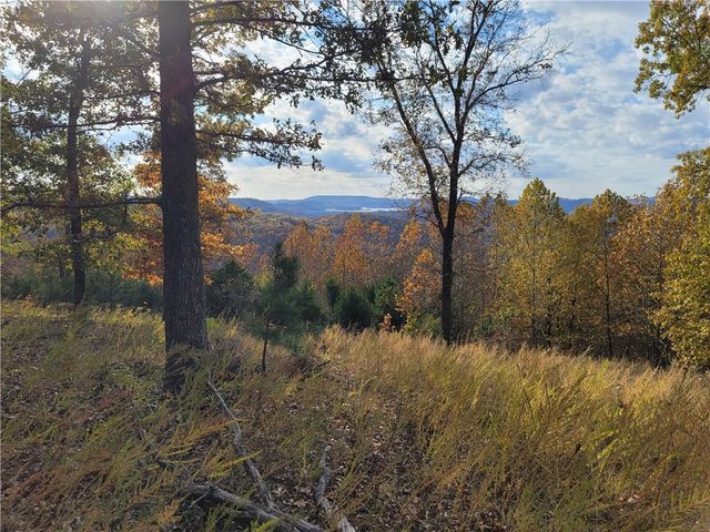 200 Blue Moon Road, Eureka Springs, AR 72632