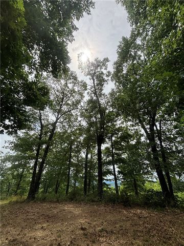 200 Blue Moon Road, Eureka Springs, AR 72632
