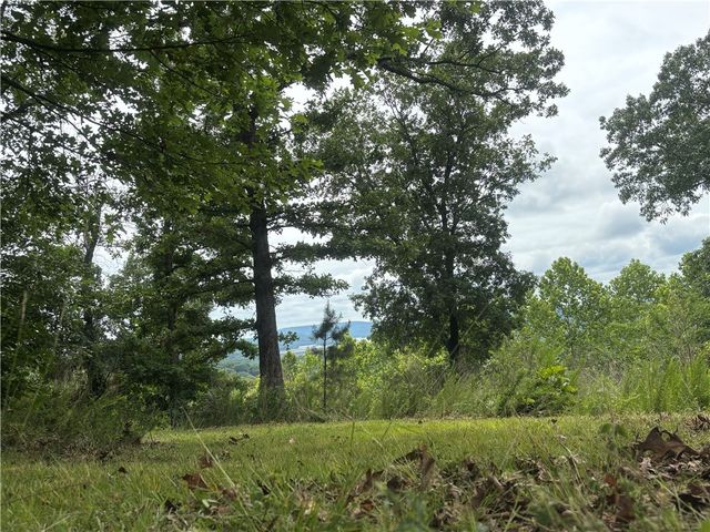 200 Blue Moon Road, Eureka Springs, AR 72632