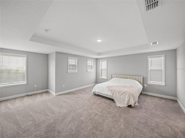 11232 BRAM BAY COURT, San Antonio, FL 33576