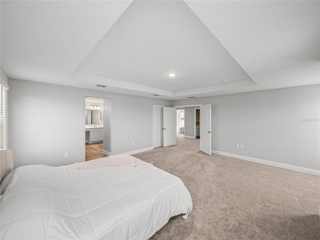 11232 BRAM BAY COURT, San Antonio, FL 33576