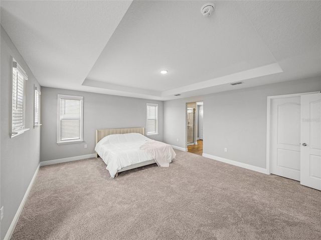 11232 BRAM BAY COURT, San Antonio, FL 33576