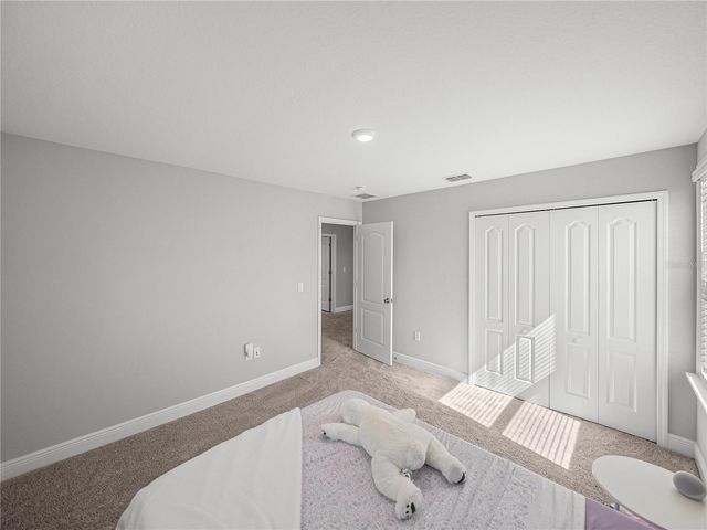 11232 BRAM BAY COURT, San Antonio, FL 33576