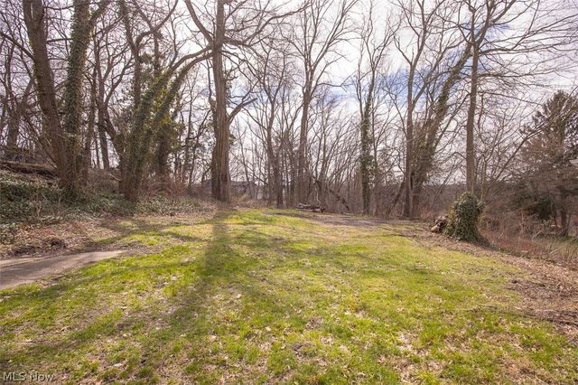 1184 Niagara Avenue, Akron, OH 44305