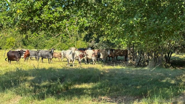 19499 E Whippoorwill Lane, Atoka, OK 74525