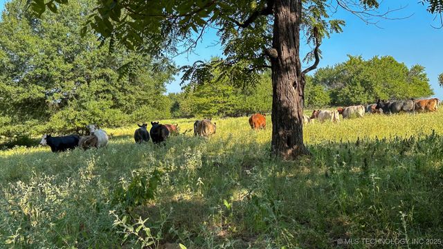 19499 E Whippoorwill Lane, Atoka, OK 74525