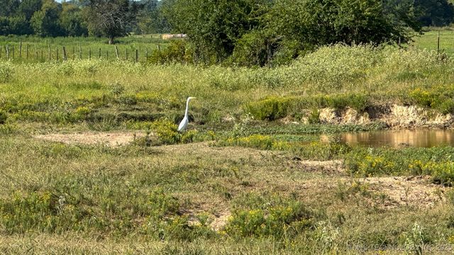 19499 E Whippoorwill Lane, Atoka, OK 74525