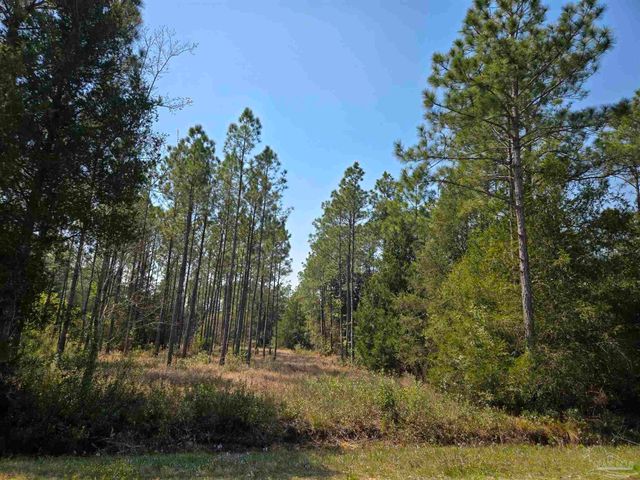 6641 Delhi Dr, Milton, FL 32583