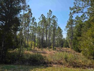 6641 Delhi Dr, Milton, FL 32583