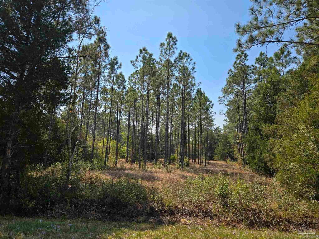 6641 Delhi Dr, Milton, FL 32583