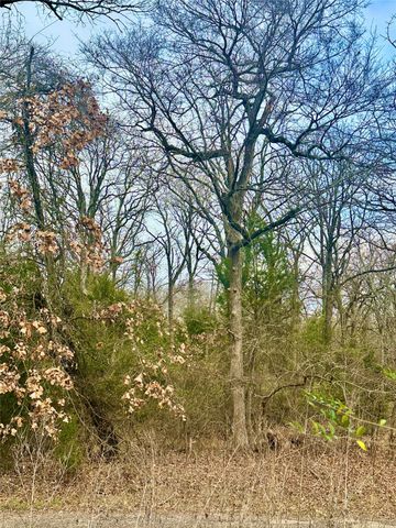 0 Daniel Boone Lane, Log Cabin, TX 75148