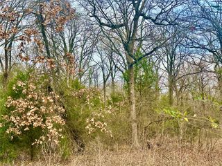 0 Daniel Boone Lane, Log Cabin, TX 75148