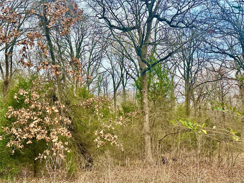 0 Daniel Boone Lane, Log Cabin, TX 75148