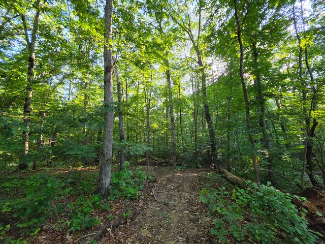35 Chickory Lane, Monteagle, TN 37356