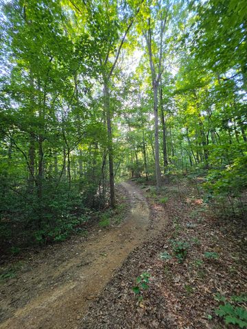 35 Chickory Lane, Monteagle, TN 37356