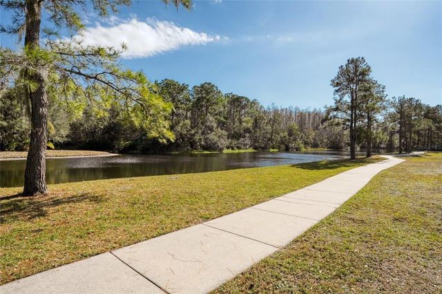 13234 ROYAL GEORGE AVENUE, Odessa, FL 33556