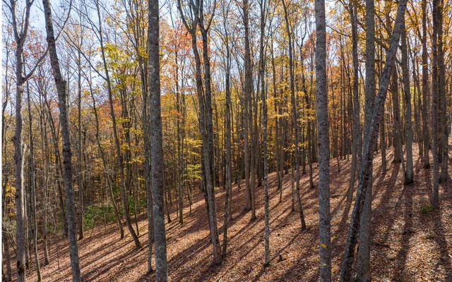 19R Settlement Trail, Ellijay, GA 30536