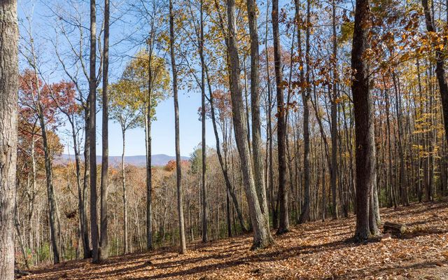 19R Settlement Trail, Ellijay, GA 30536