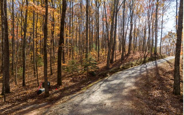 19R Settlement Trail, Ellijay, GA 30536