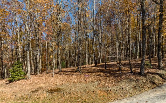 19R Settlement Trail, Ellijay, GA 30536