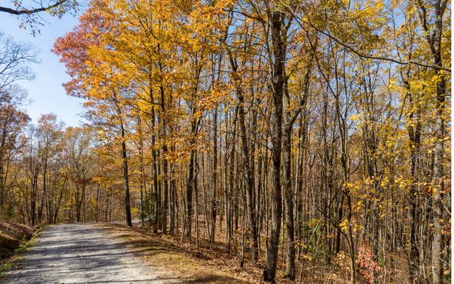 19R Settlement Trail, Ellijay, GA 30536