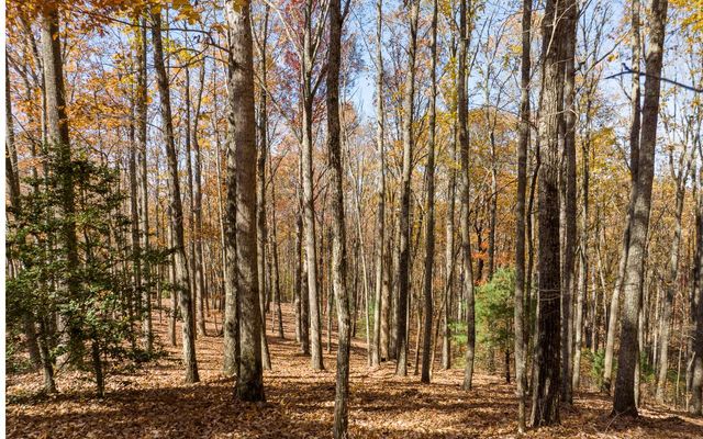 19R Settlement Trail, Ellijay, GA 30536