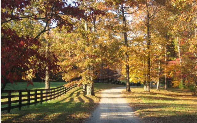 19R Settlement Trail, Ellijay, GA 30536