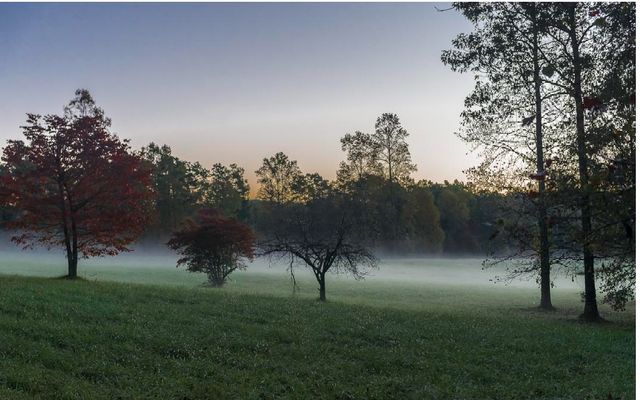 19R Settlement Trail, Ellijay, GA 30536