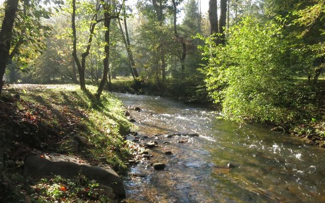 19R Settlement Trail, Ellijay, GA 30536