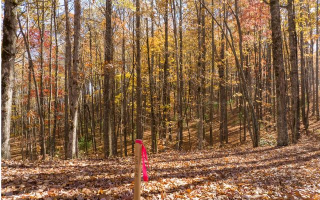 19R Settlement Trail, Ellijay, GA 30536
