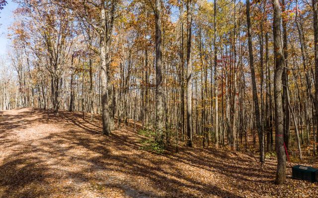19R Settlement Trail, Ellijay, GA 30536