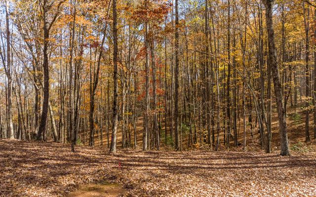 19R Settlement Trail, Ellijay, GA 30536
